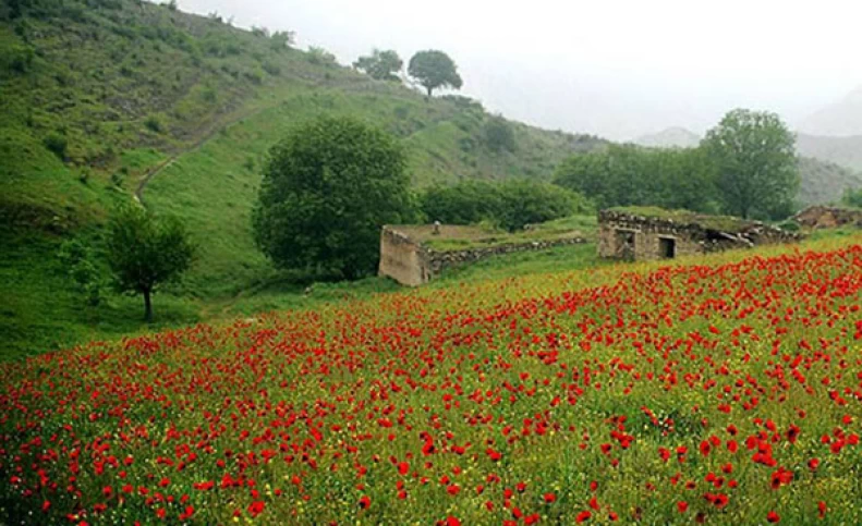 جنگل‌های ارسباران؛ جنگل‌های رویایی که جهانی نشدند