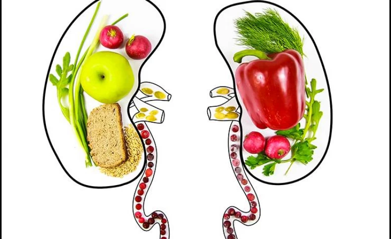 میوه و سبزیجات بیشتری بخورید تا کلیه های سالمی داشته باشید